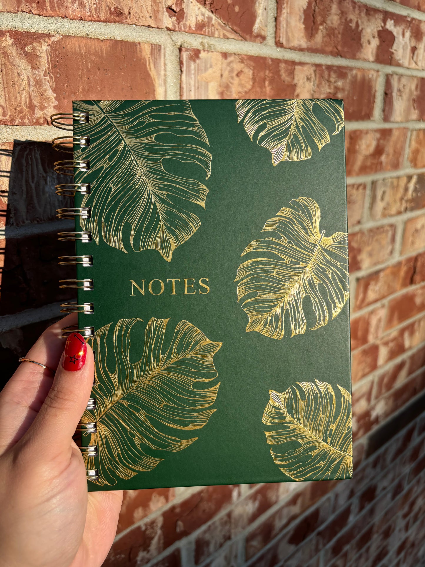 The Terra Notebook